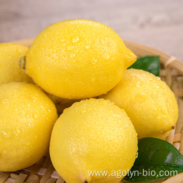 Wholesale In Stock Fresh Lemons